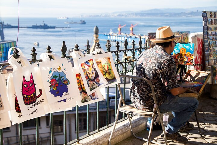 Private pre/post cruise tour Valparaiso & Casablanca Wine Valley - Photo 1 of 4